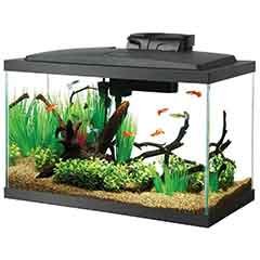 Aquarium Starter Kits